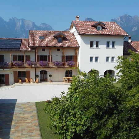 Corte Varola B&B Zia Marisa Беллуно Екстер'єр фото